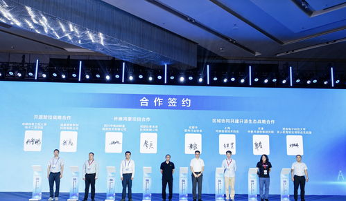 85條供需信息集中發(fā)布，成都開源生態(tài)建設(shè)大會引領(lǐng)軟件技術(shù)推廣新浪潮